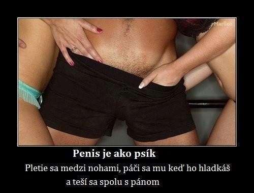 ... ako psík