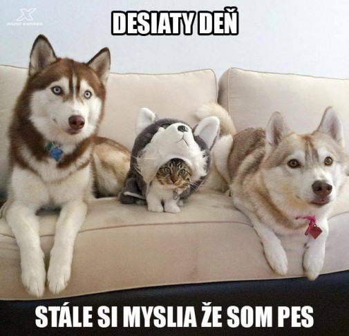 pokus cislo XXX