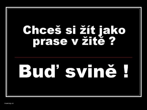 pravda